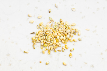 Similar image 21087443