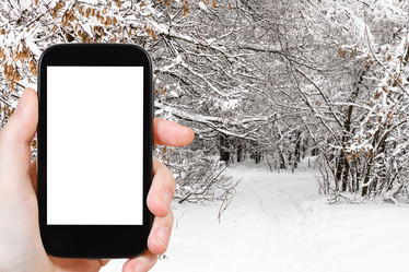 Similar image 21113900