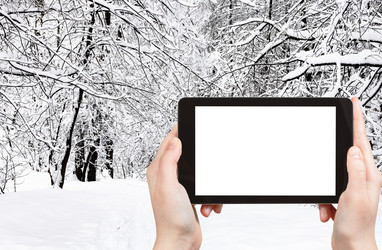 Similar image 21113901