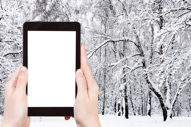 Similar image 21113902