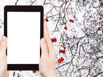 Similar image 21113904