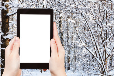 Similar image 21115099