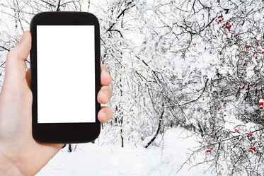 Similar image 21115104