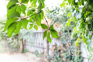 Similar image 21080210