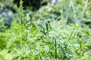 Similar image 21081289