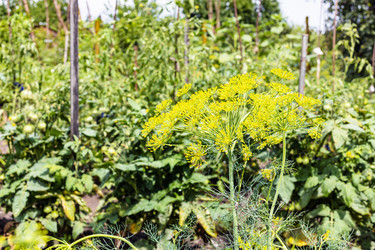 Similar image 21081293