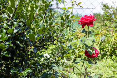 Similar image 21082801