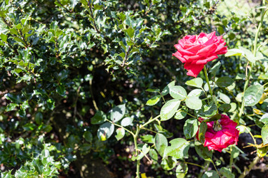 Similar image 21082802