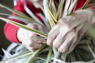 Similar image 21106125