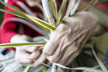 Similar image 21106126