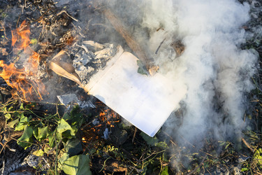 Similar image 21111995