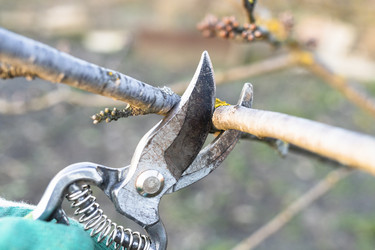 Similar image 21113907