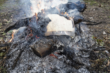 Similar image 21115107