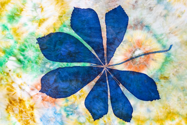 Similar image 21125794