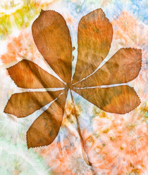 Similar image 21125795