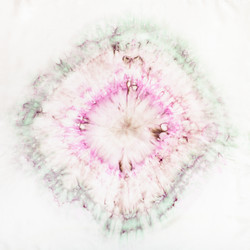 Similar image 21081305