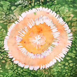 Similar image 21113920