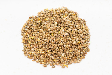 Similar image 21115133