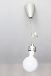 Similar image 21132676