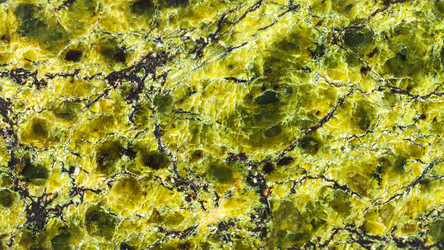 Similar image 21106165