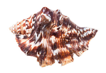 Similar image 21115152