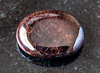 Similar image 21125804