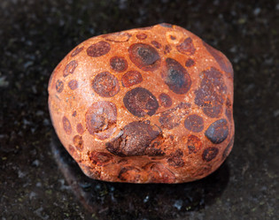 Similar image 21125840