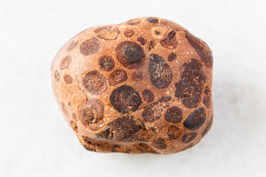 Similar image 21106177