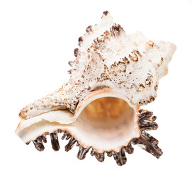 Similar image 21132733