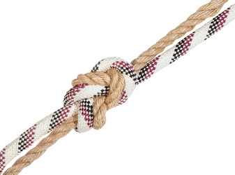 Similar image 21082849