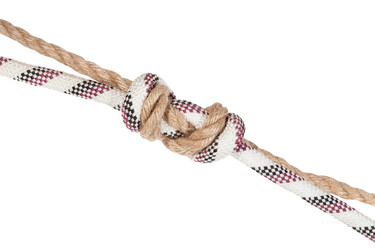 Similar image 21082910