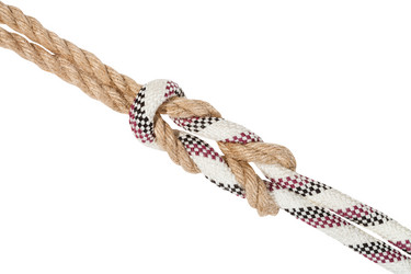 Similar image 21105791