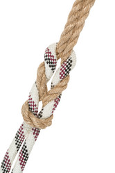 Similar image 21105793