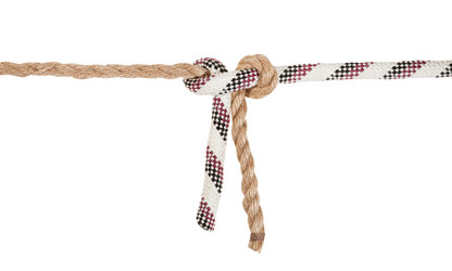 Similar image 21113952