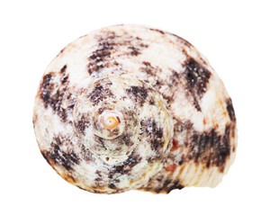 Similar image 21113954