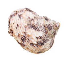 Similar image 21114272