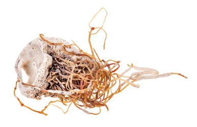 Similar image 21115166