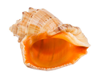 Similar image 21121378