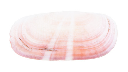 Similar image 21121565