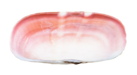 Similar image 21121567