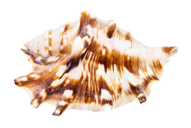 Similar image 21121569