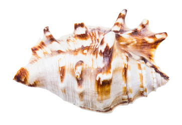 Similar image 21125654