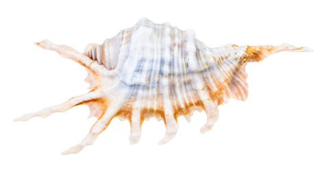 Similar image 21125844