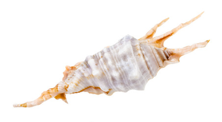 Similar image 21126194