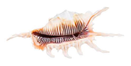 Similar image 21126195