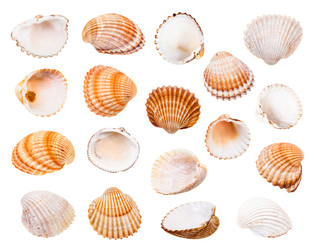 Similar image 21132734