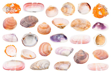 Similar image 21132735