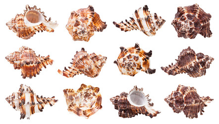 Similar image 21132818