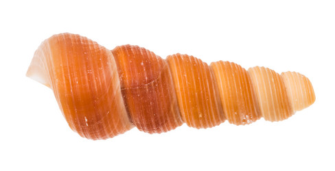 Similar image 21080105