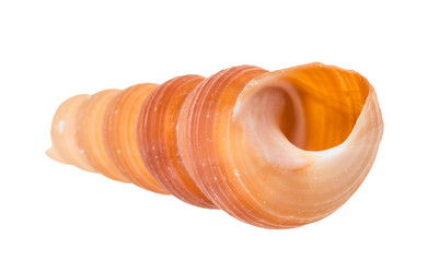 Similar image 21080106